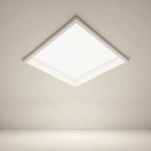 Ceiling Panel